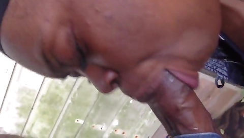 Mash niecenokrix & cum on her face